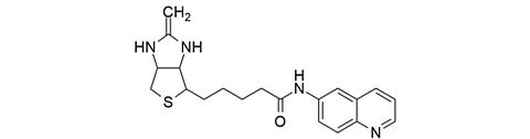 Structural formula biotin-6-aminoquinoline