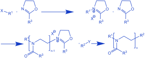 Schematic representation of the reaction mechanism