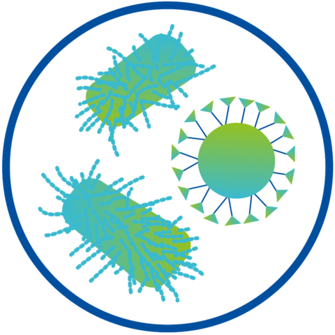 Schematische Darstellung von POx als Nanopartikel