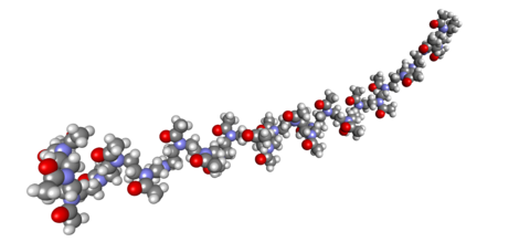 3D representation of POx