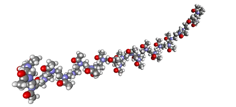 3D Darstellung eines Polyoxazolins