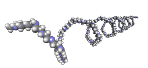 3D Darstellung Polyethylenimin