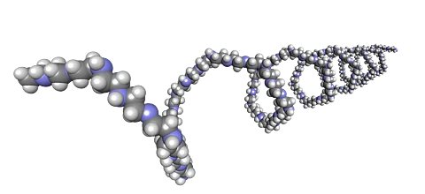 3D Darstellung Polyethylenimin